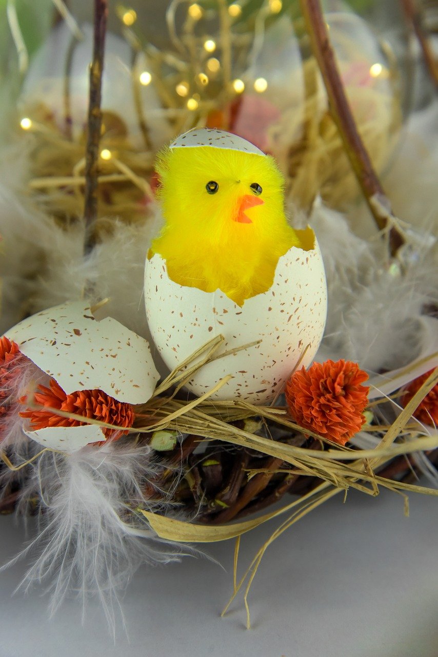 easter chick, easter, easter eggs, easter theme, color, spring, easter greeting, the beginning of spring, easter gift, deco, frühlingsanfang, nature, spring awakening, feather, cozy, craft ideas, tinker, craft store